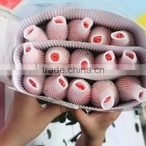 Colorful Diana Fresh Roses Decoration thumbnail-4