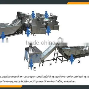 Dragon Fruit Processing Plant thumbnail-2