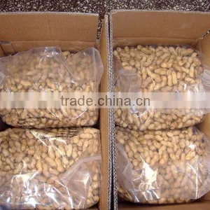 Chinese Best Roasted Groundnut in Shell thumbnail-1