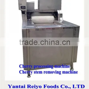 Fruit Processing Machine / Cherry Stem Removing Machine thumbnail-3