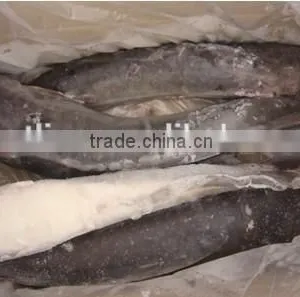 Whole Round Catfish (Silurus Asotus) thumbnail-2