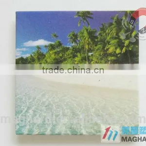 Indian Tourist Souvenir Iron Fridge Magnets thumbnail-2