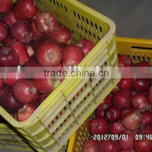 Nearest Fresh Huaniu Apple thumbnail-1