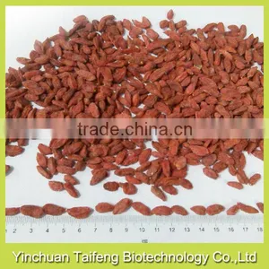 Natural Goji Fruit thumbnail-2