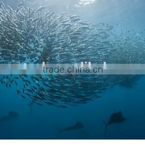 IP68 15/25 m Underwater Infrared LEDs Fish Finder Camera, Infrared Camera With 3.5'' Display Factory in Shenzhen thumbnail-6