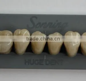 Huge Dental Sonning Full Set Acrylic Denture Teeth thumbnail-6