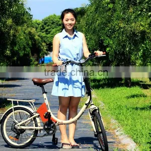 Mini,20 Inch Front Wheel Hub Motor 350 Watt Electric Bike Conversion Kit 36v Battery thumbnail-2