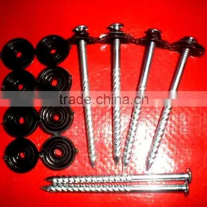 Lesotho Market Twisted Nails thumbnail-5