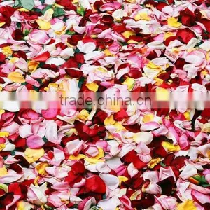 100% Pure Rose Essential Oil thumbnail-3