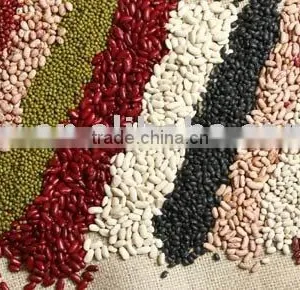 Various Speckled Kidney Beans thumbnail-1