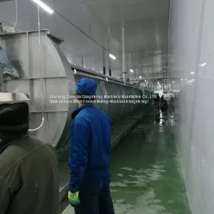 Good Quality and Price Slaughtering House From Zhucheng Zhongda thumbnail-2
