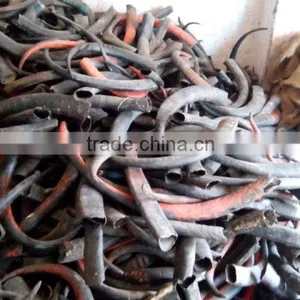 Buffalo/ox /cow Raw Horn for Decoration Manufacturing India thumbnail-2