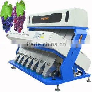 Best Sell High Output 448 Channels ISO Certificated Dried Currant Ccd Color Sorter thumbnail-1