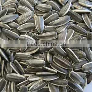 Supply All Kinds Of Sunflower Seeds thumbnail-3