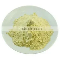 Spray Dried Guava Powder thumbnail-1
