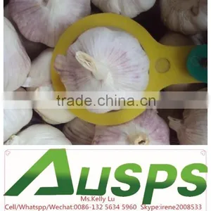 China Garlic Price per Ton thumbnail-3