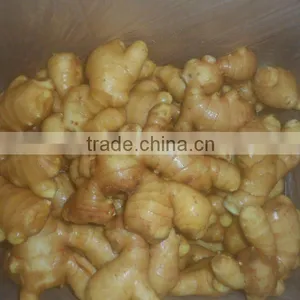 2012 Mature Fresh Chinese Ginger thumbnail-1