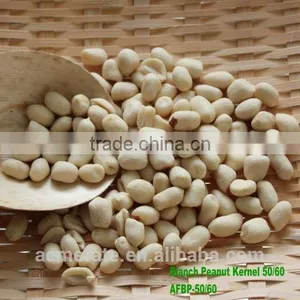 Chinese ISO9001 HACCP Commom Raw Peanut Kernels thumbnail-4