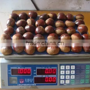 2015 New Crop Dandong Raw Sweet Organic Chestnuts thumbnail-2