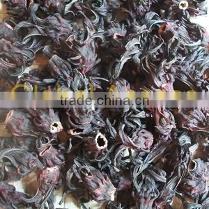 Purple Hibiscus thumbnail-1
