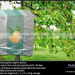 Pineapple Bag thumbnail-3