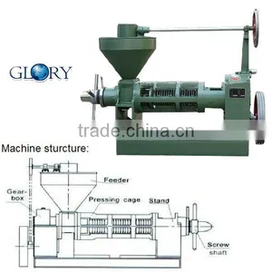 Hot Sale Automatic Mini Oil Press thumbnail-1