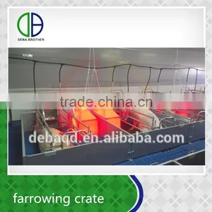 Custom Design China Supplier Pig Farrowing Crate thumbnail-1