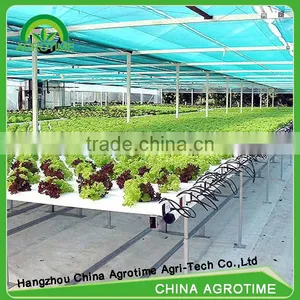 Greenhouse Hydroponic Growing System thumbnail-1