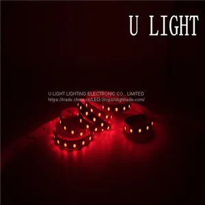 12V 24V LED Flex Ribbon Strip Light Waterproof for Landscape Decoration thumbnail-1