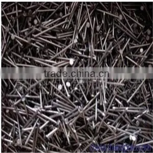 Galvanized Square Shank Nail/ Boat Nail/ China Factory thumbnail-5