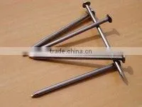 Common Nail thumbnail-1