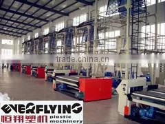 Laiwu Everflying Plastic Machinery Co., Ltd. company overview - view 3 thumbnail