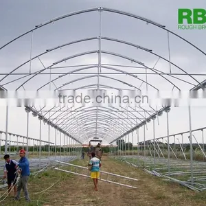 Vegetable Commercial Film Low Cost Greenhouse Multi Span High Quality for Agriculture thumbnail-6