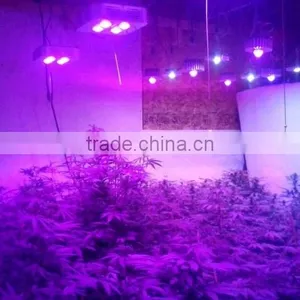 High Quality Hydroponic Solution of Indoor Grow Lights for Vegetables by Manufacturer and Supplier thumbnail-3