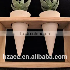 Concrete Mini Planters in Wooden Frame thumbnail-5