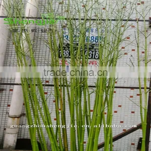SJLJ013165 High Quality Artificial Plants and Trees/artificial Bamboo Wood Stem thumbnail-3