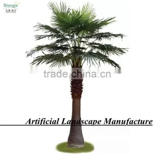 Indoor Palm Tree Hotsale Size Customized Fiberglass Date Palm Tree thumbnail-4