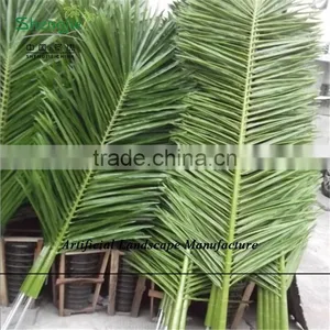 SJZJN 111 Big Amazing Balm Tree Leaves/High Imitation Palm Tree Leaves Made in China Hot Sale thumbnail-3