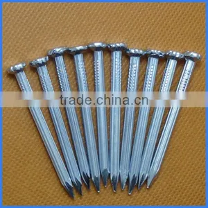 Galvanized Concrete Steel Nails From Guangzhou Supplier thumbnail-5