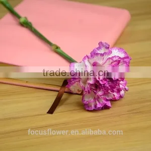 Magnificent Cut Flower Holland Carnation for Interior Decoration thumbnail-3