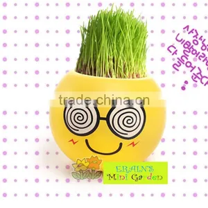 Mini Garden Growing Grass Hair Toy Growing Grass Head Toys 002-2(ceramic Colour Glaze) thumbnail-6