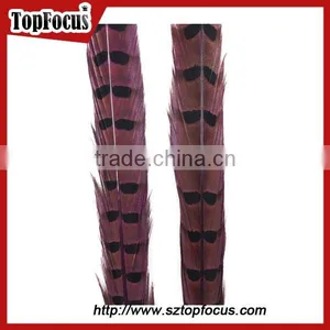 High Quality for Showgirl Carnival Costume Ringneck Tail Pheasant Feathers thumbnail-2