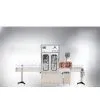 Automatic Liquid Quantitative Filling Line (two-headed) thumbnail-1