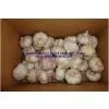 Pure Chinese White & Normal Garlic thumbnail-2