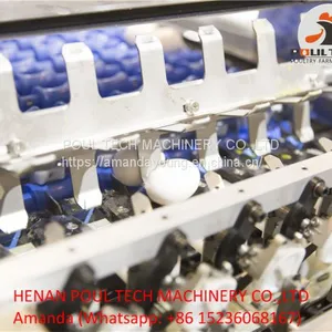 Egg Grading Machine for Sale 3000 - 10000 Eggs/Hour thumbnail-3