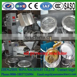 Small Capacity Sesame Oil Press Machine/palm Oil Press Machine/sunflower Oil Press Machine for Sale thumbnail-1
