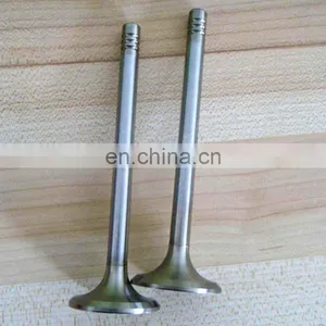 Trade Assurance Auto Parts Engine Valve For BYD S6 M6 2.4L 488QA BYD488QA-1007117 BYD488QA-1007318 thumbnail-5