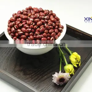 Organic Adzuki Beans thumbnail-1