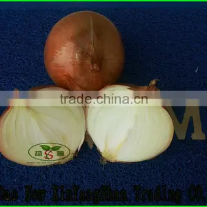 Wholesale Yellow Onion Packing In Mesh Bag At A Competitive Market Price thumbnail-1