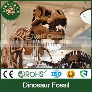 Lisaurus-0270 2013 Latest Foam Dinosaur Skeleton thumbnail-1